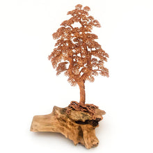 Load image into Gallery viewer, Stolid