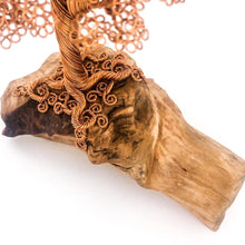 Load image into Gallery viewer, Stolid