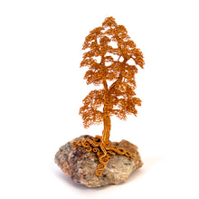 Load image into Gallery viewer, Settled