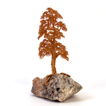 Load image into Gallery viewer, Settled