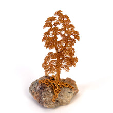 Load image into Gallery viewer, Settled