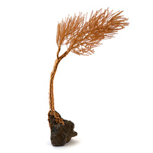 Load image into Gallery viewer, Valiant