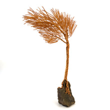 Load image into Gallery viewer, Valiant