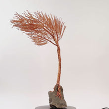 Load and play video in Gallery viewer, Valiant