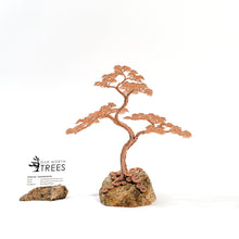 Load image into Gallery viewer, Solo
