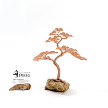 Load image into Gallery viewer, Solo
