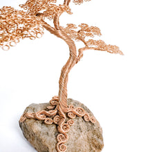 Load image into Gallery viewer, Solo
