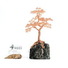 Load image into Gallery viewer, Assured
