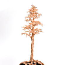 Load image into Gallery viewer, Astute
