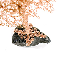 Load image into Gallery viewer, Astute
