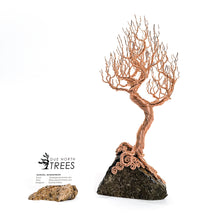 Load image into Gallery viewer, Second Frost
