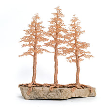 Load image into Gallery viewer, Commune
