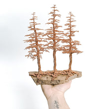 Load image into Gallery viewer, Commune
