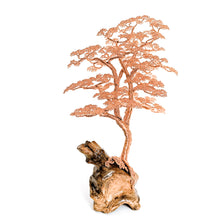 Load image into Gallery viewer, Limberlost
