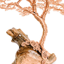 Load image into Gallery viewer, Limberlost
