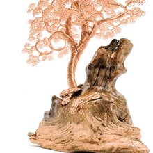 Load image into Gallery viewer, Limberlost
