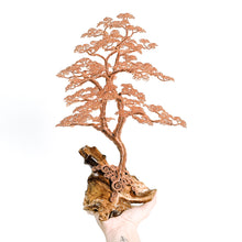 Load image into Gallery viewer, Limberlost
