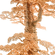 Load image into Gallery viewer, A Walk With Giants
