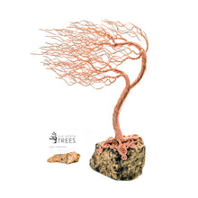 Load image into Gallery viewer, Crisp
