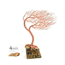 Load image into Gallery viewer, Crisp
