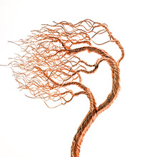 Load image into Gallery viewer, Crisp
