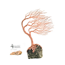 Load image into Gallery viewer, Frolic
