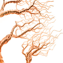 Load image into Gallery viewer, Frolic
