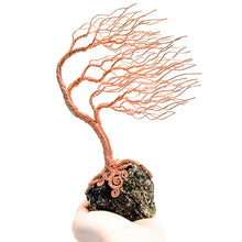 Load image into Gallery viewer, Frolic
