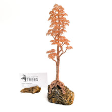 Load image into Gallery viewer, Uplift
