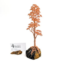 Load image into Gallery viewer, Uplift
