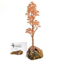 Load image into Gallery viewer, Uplift
