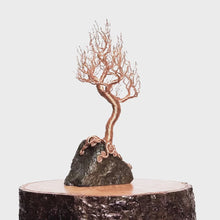 Load and play video in Gallery viewer, Second Frost
