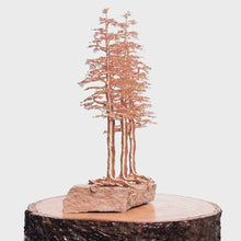 Load and play video in Gallery viewer, Commune
