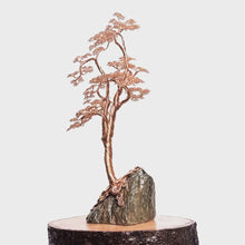 Load and play video in Gallery viewer, Northern Bound
