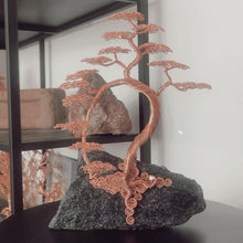 Load and play video in Gallery viewer, Cascading Bonsai
