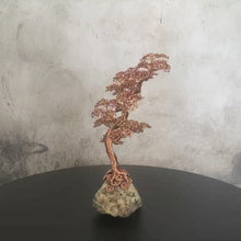 Load and play video in Gallery viewer, Wee Tree Seven - Series 1
