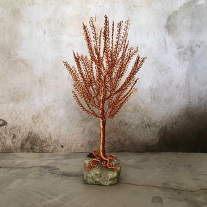 Small Birch Tree