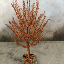 Load image into Gallery viewer, Small Birch Tree

