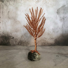 Load image into Gallery viewer, Small Birch Tree
