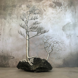 Dual Windswept Trees