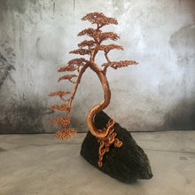 Load image into Gallery viewer, Cascading Bonsai
