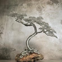 Load image into Gallery viewer, &quot;Stooped II&quot;
