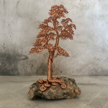 Load image into Gallery viewer, Wee Tree Six - Series 1
