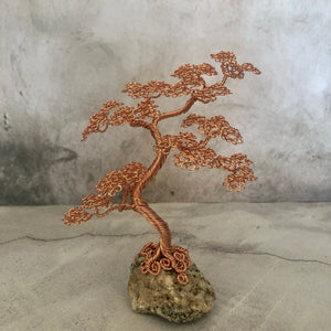 Wee Tree Seven - Series 1