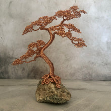 Load image into Gallery viewer, Wee Tree Seven - Series 1
